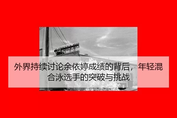 wai-jie-chi-xu-tao-lun-yu-yi-ting-cheng-ji-de-bei-hou-nian-qing-hun-he-yong-xuan-shou-de-tu-po-yu-tiao-zhan-2-183.jpg